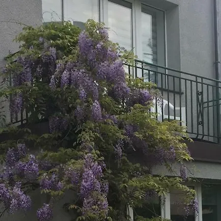 Przy Plazy Kamienna Gora Gdynia