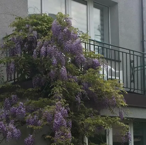 Przy Plaży Kamienna Góra Gdynia