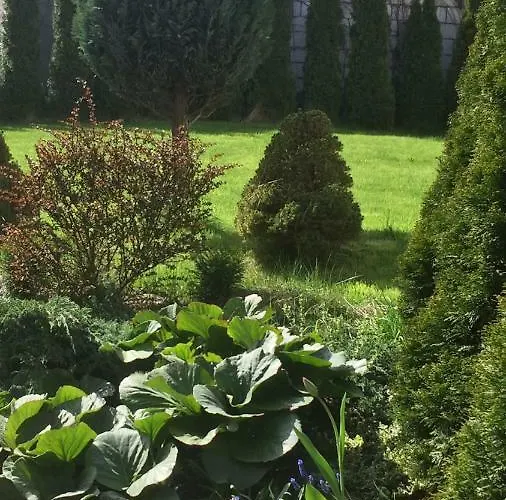 Przy Plaży Kamienna Góra