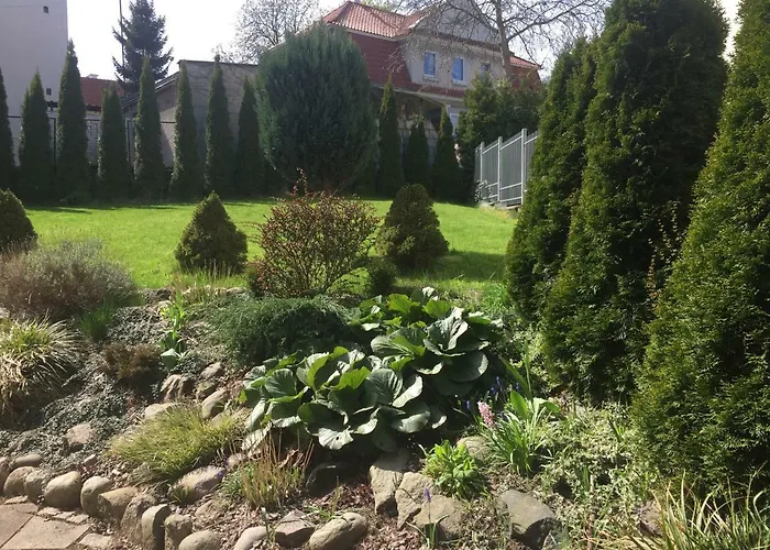 Przy Plazy Kamienna Gora *